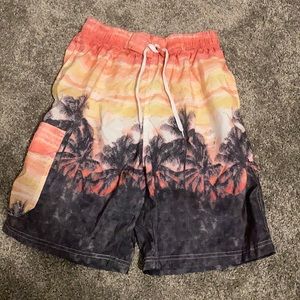 Skyline Swim Trunks